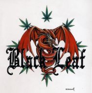 Black Leaf Dragon, dragon myth, Peter Pracownik Signed Framed Prints