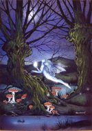 Fairy Magic, fairy, magic fairies, fairy magic, Peter Pracownik Signed Framed Prints