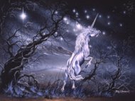 Celestial Dancer, unicorns, Peter Pracownik Signed Framed Prints
